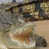Deadly Australians? Or just take care?