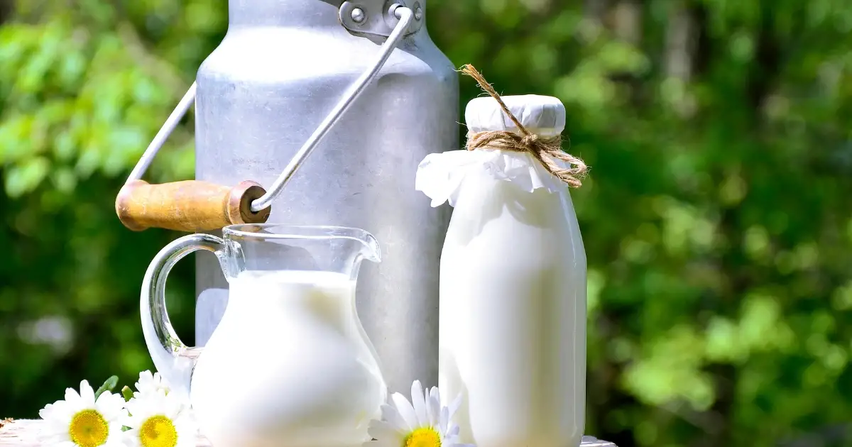 Australia's Enduring Obsession with Milk
