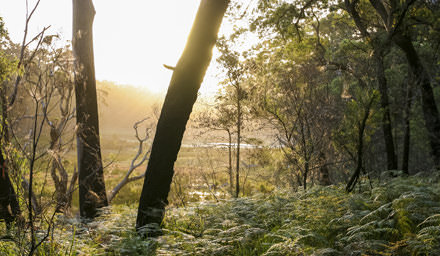 Bushwalking in Booderee National Park, Jervis Bay.