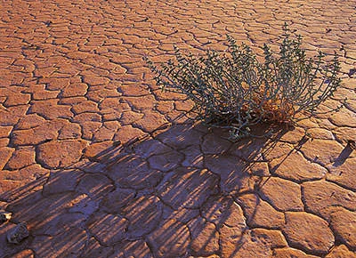 Drought in Australia