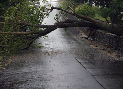 Tropical Cyclone Oswald Damage