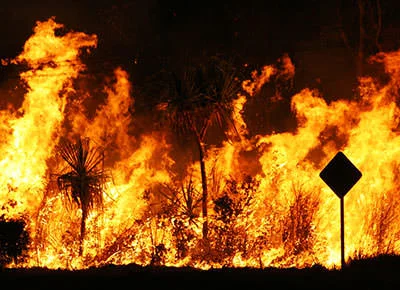 Australian Bush Fire