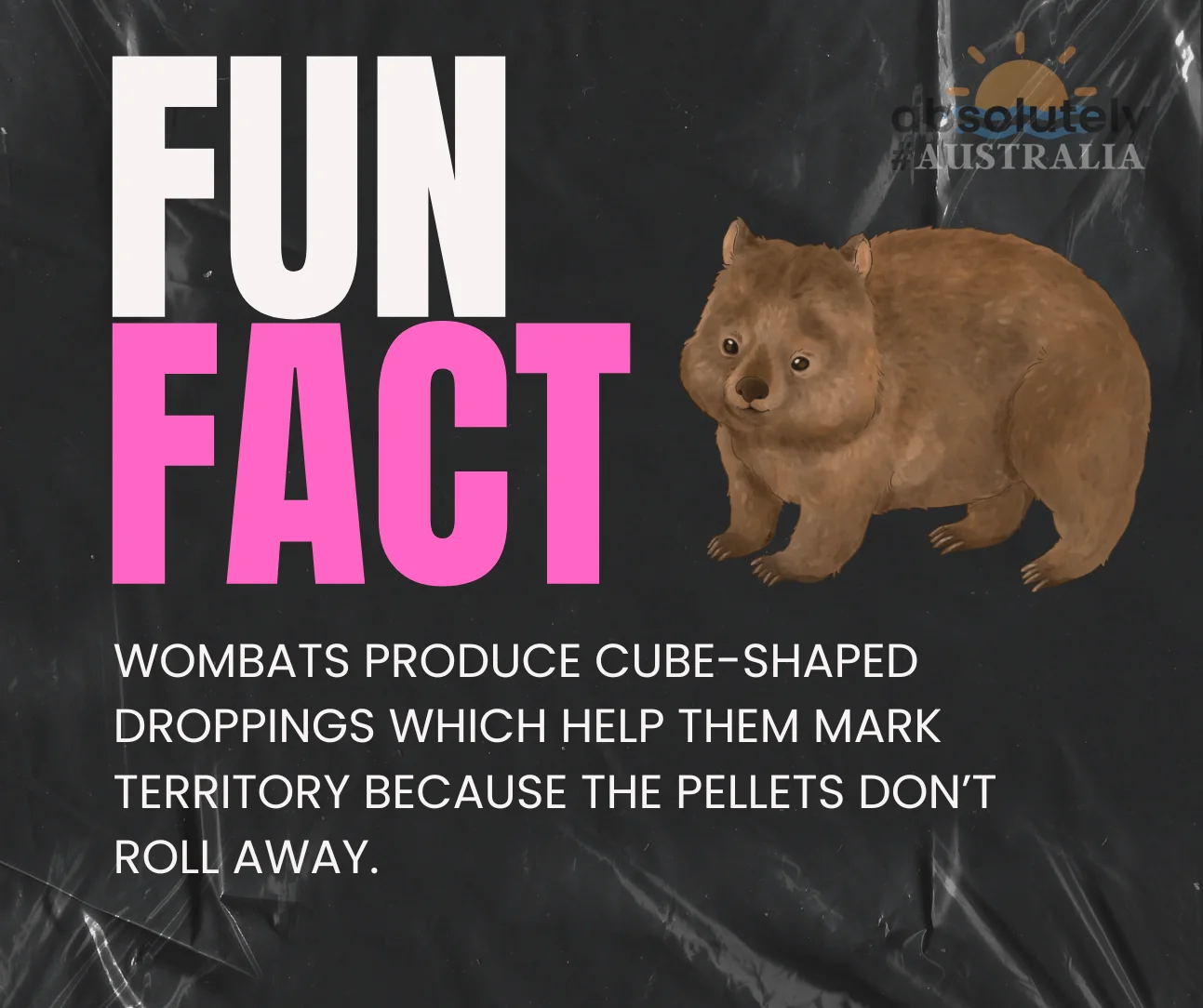 Fun Fact