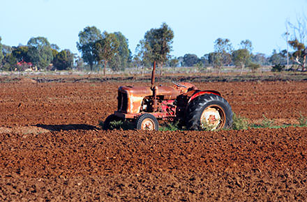 Abandoned tractor on farm paddock