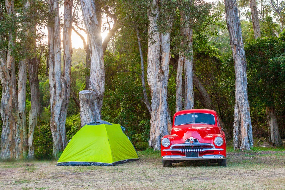Caravan & Camping