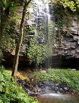 Crystal Shower Falls, Dorrigo, New South Wales