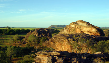 Kakadu