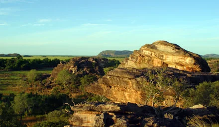 Kakadu
