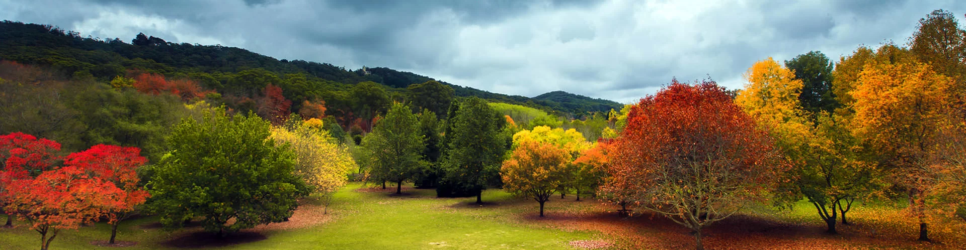 Adelaide Hills - South Australia