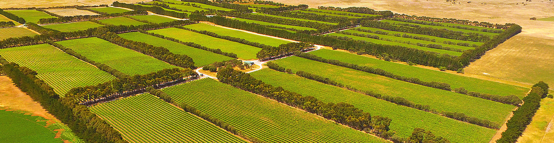 Limestone Coast - South Australia