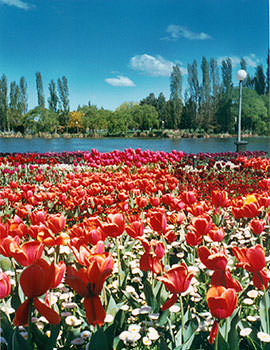 Murraylands, Big Bend, Murray River