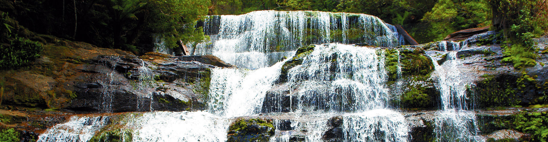 The Western Wilderness - Tasmania