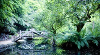 Health & Nature Retreats