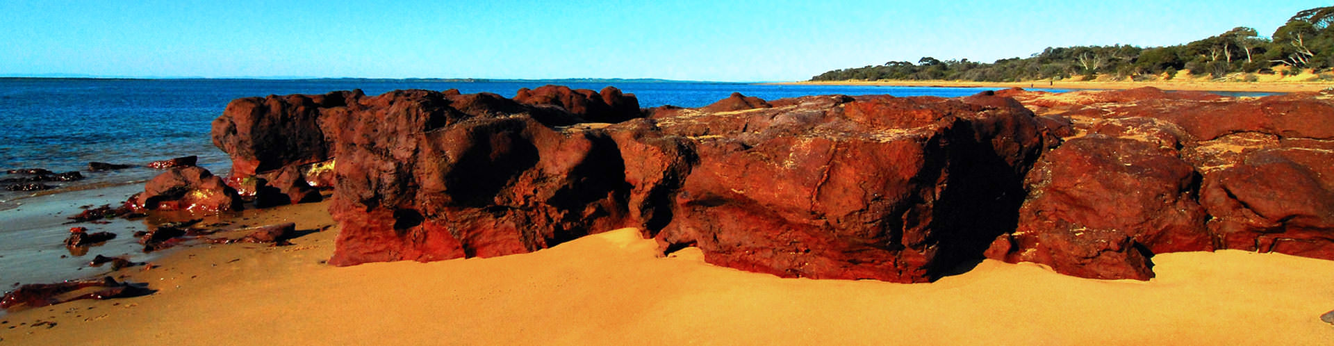 Phillip Island   - Victoria