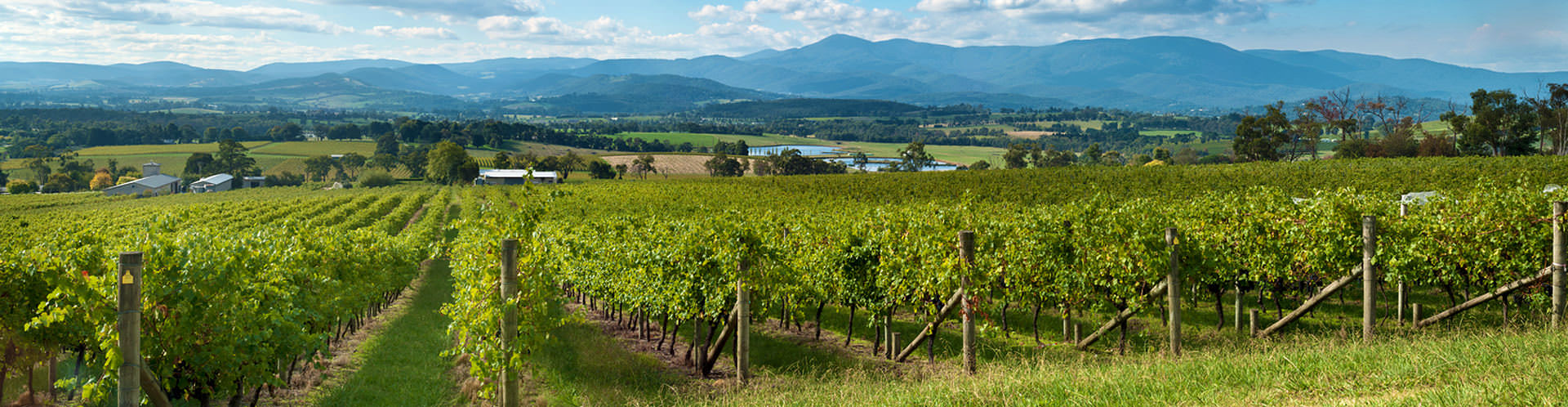 Yarra Valley & Dandenong Ranges   - Victoria