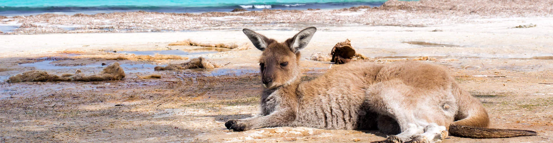 Esperance & the Golden Outback - Western Australia