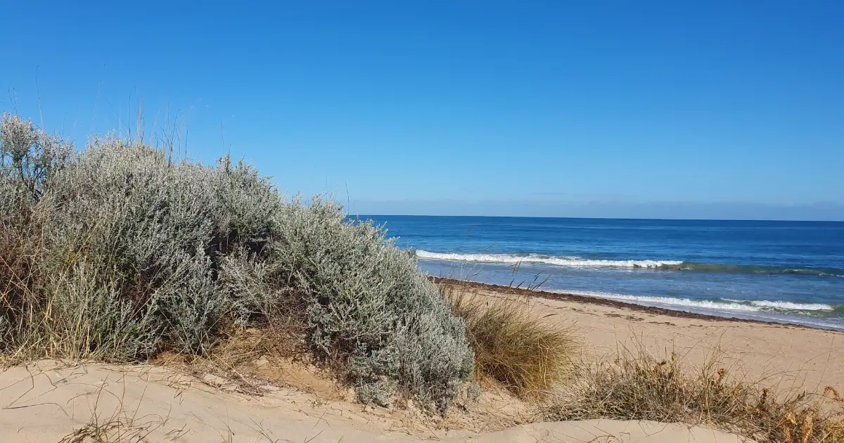 Fun at the Beach