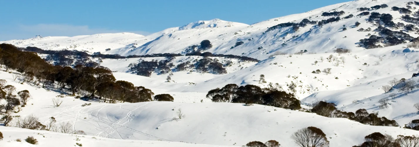 Mount Kosciuszko - Our tallest mount