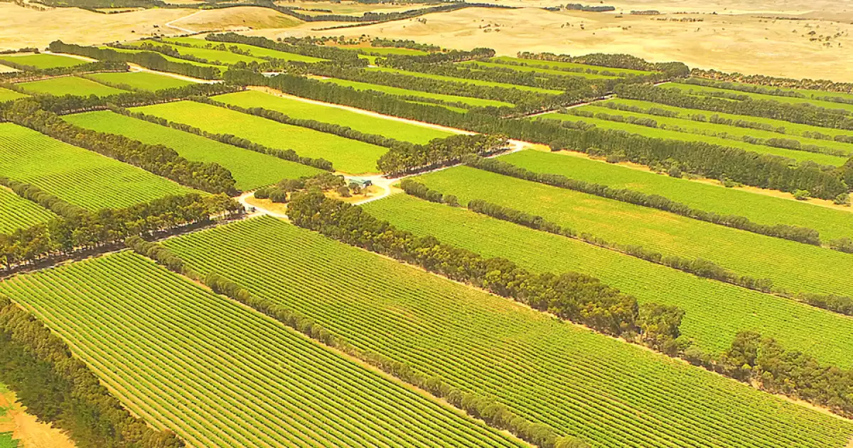 A Guide to Coonawarra