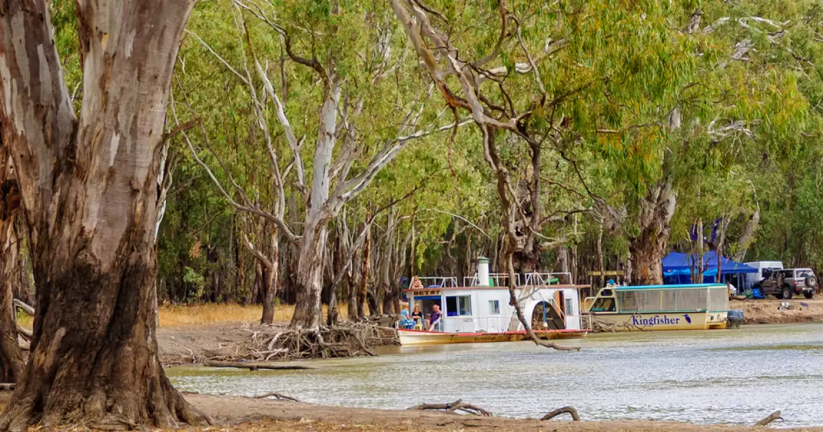 Barmah National Park - Echuca