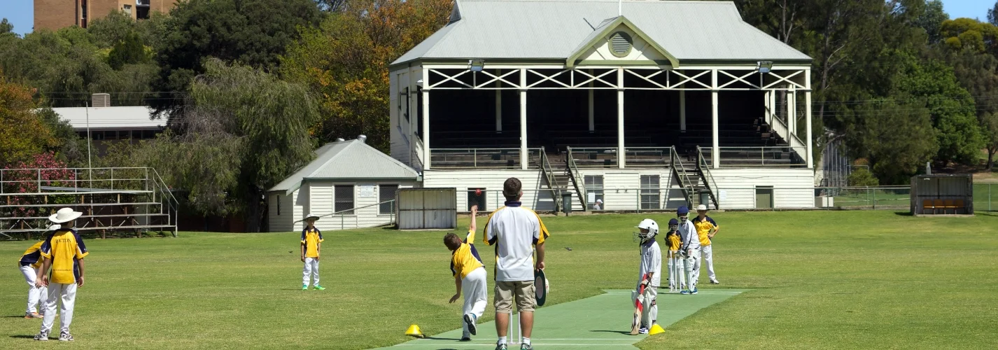 Cricket Player