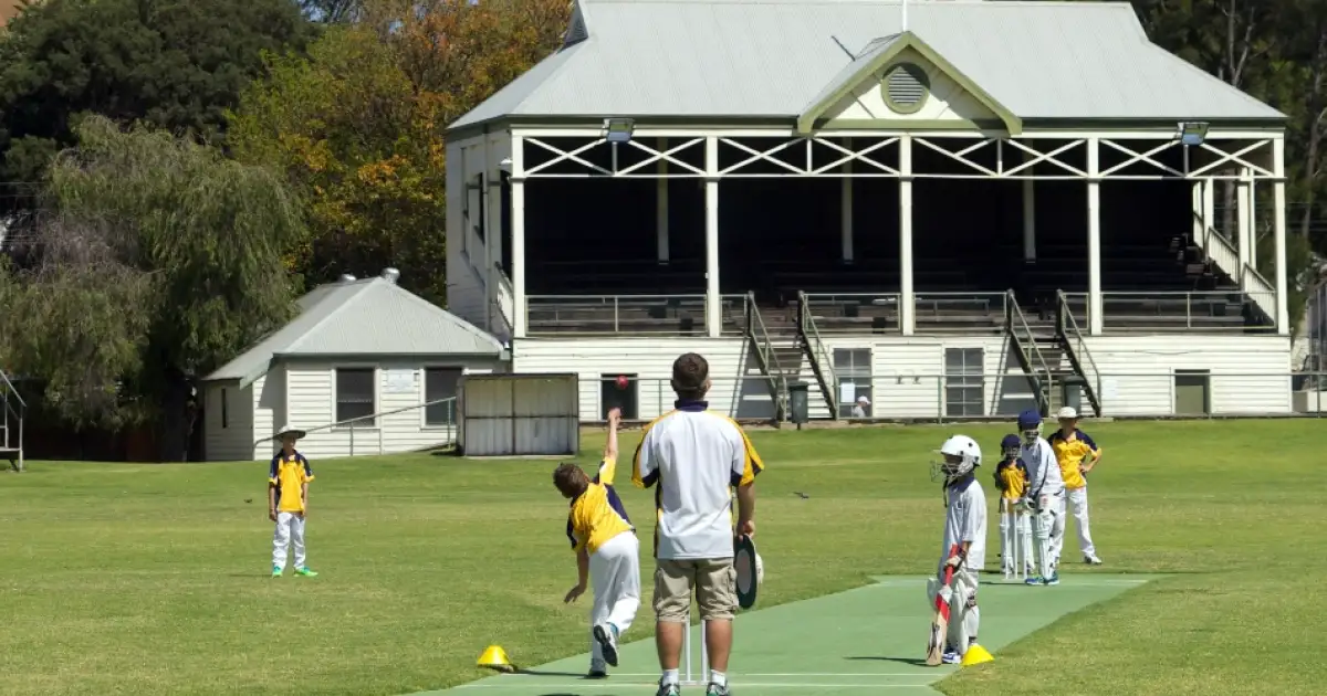 Cricket Player