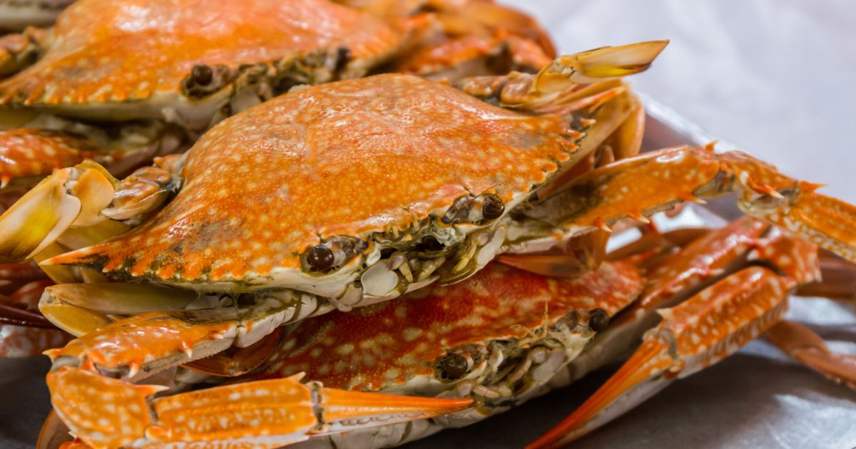 Mandurah's Annual Crab Fest Absolutely Australia