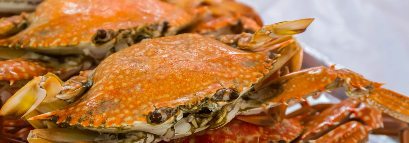 Mandurah's Annual Crab Fest