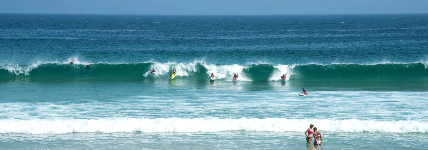 Surfing Champions of NSW