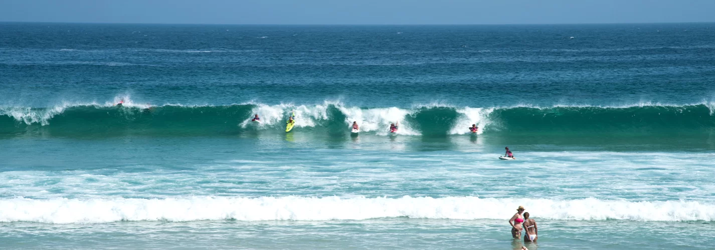 Surfing Champions of NSW