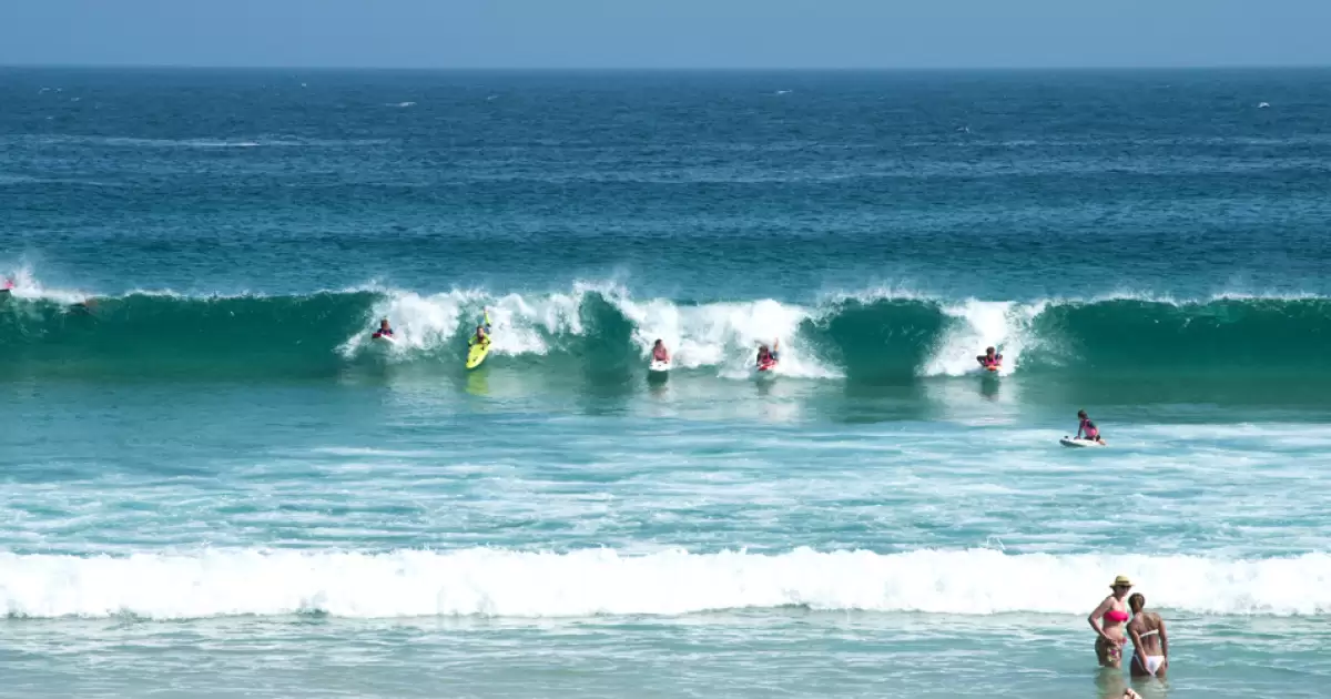 Surfing Champions of NSW