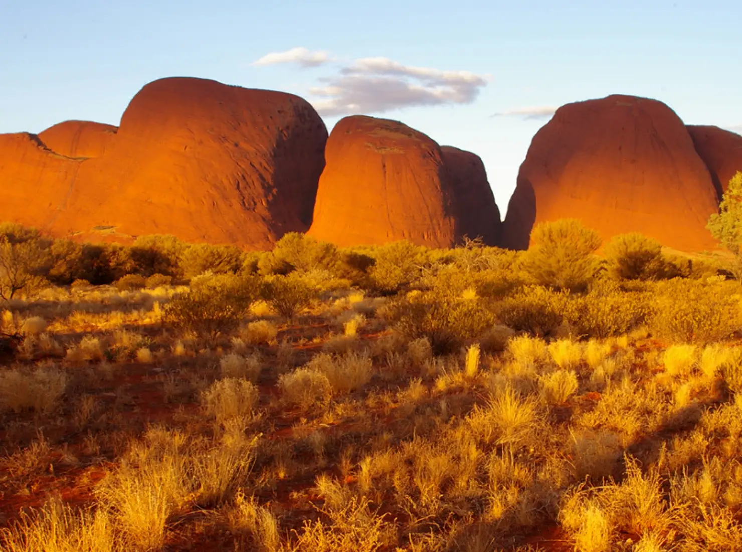 Kata Tjuta
