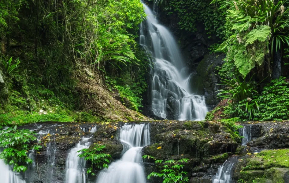 Lamington National Park  [Woonoongoora]