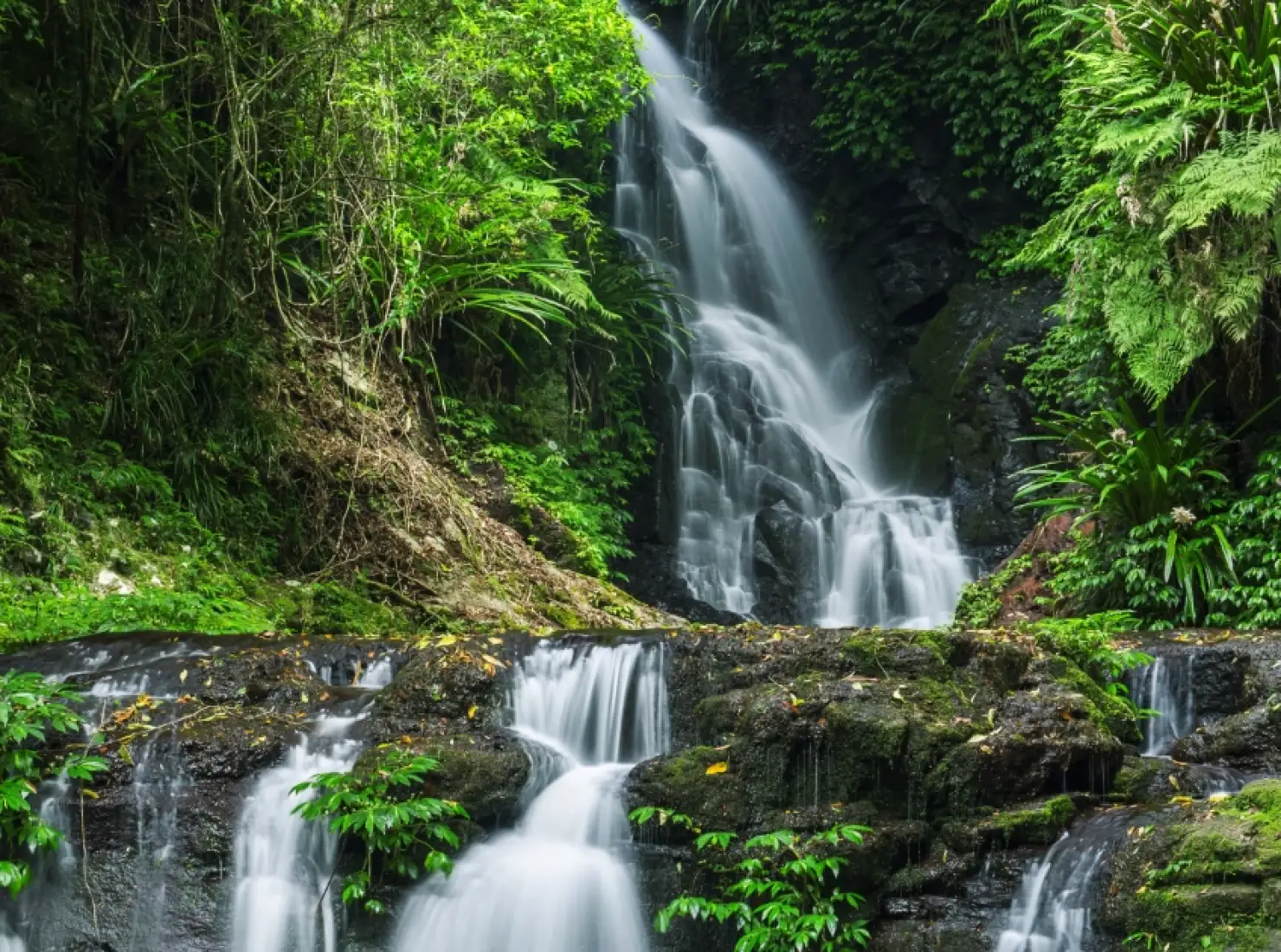 Lamington National Park  [Woonoongoora]