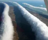 Morning Glory  (kangólgi)