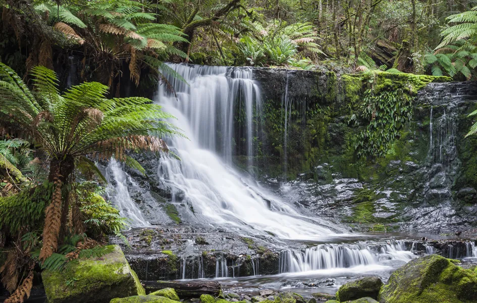 Russell Falls