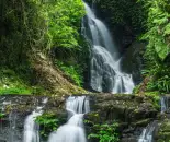 Lamington National Park  [Woonoongoora]